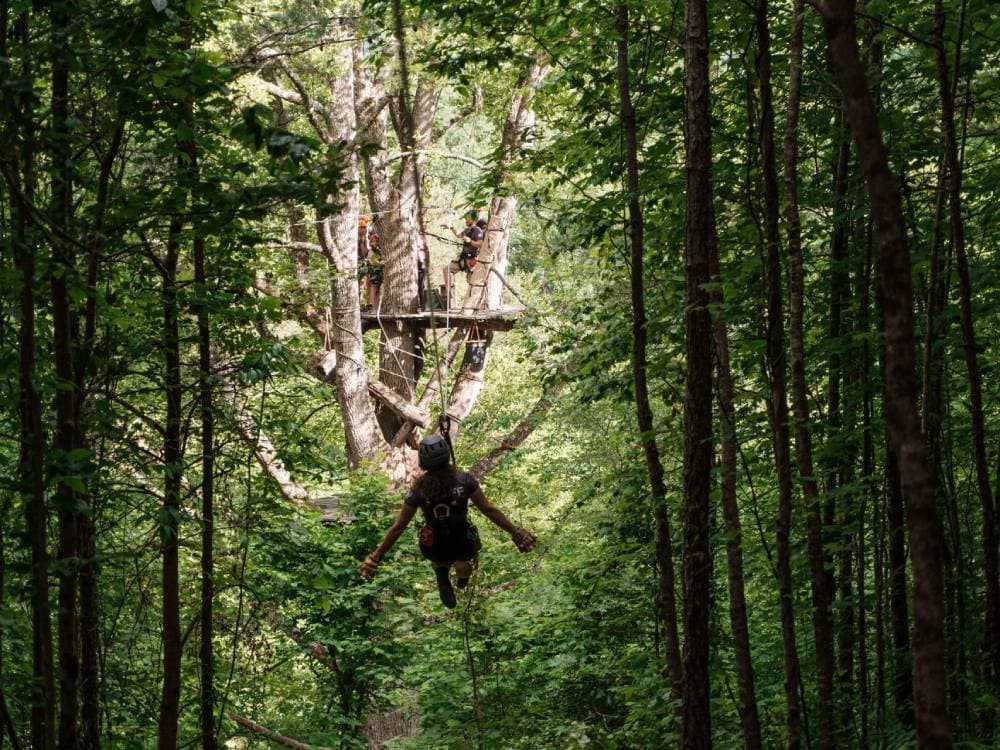 Asheville Treetop Express