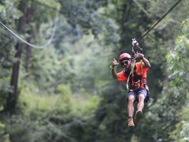 Asheville Treetop Tour — photo 1
