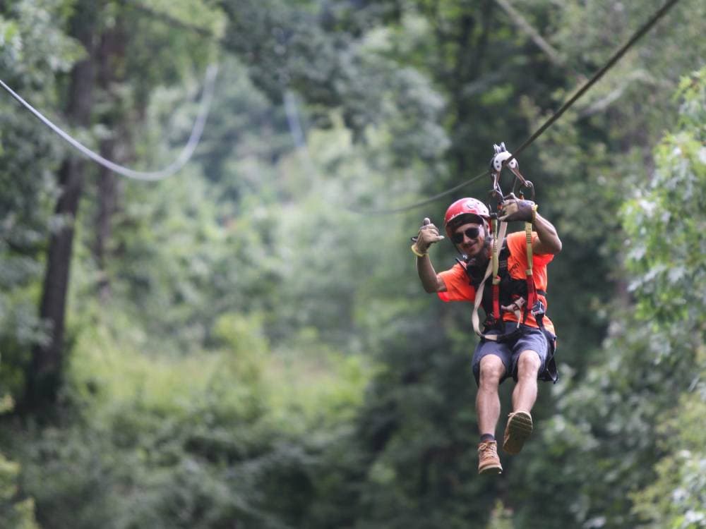 Asheville Treetop Tour