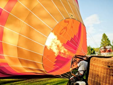 Avian Balloon Co — photo 1