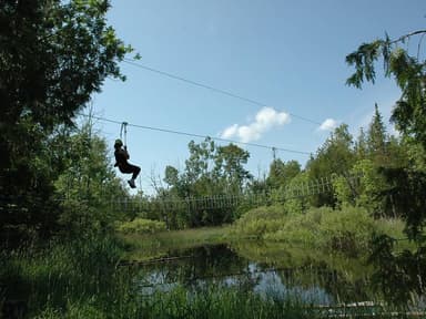 Baileys Harbor Zipline Canopy Tour — photo 1