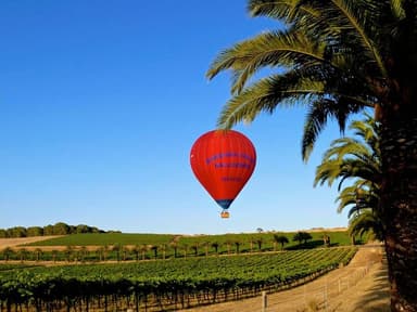 Barossa Valley Ballooning — photo 1