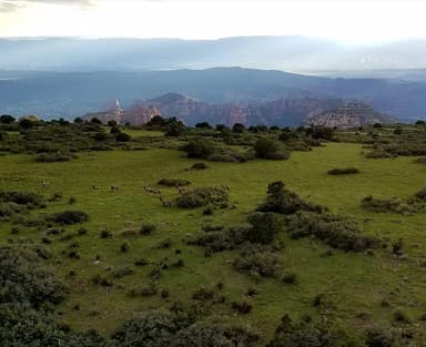 Munds Mountain Wilderness Area: Helicopter Ride in Sedona — photo 3