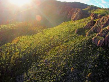 Big Horn Sheep Canyon Helicopter Flight — photo 1