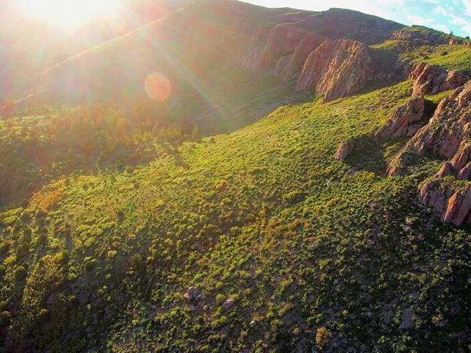 Big Horn Sheep Canyon Helicopter Tour