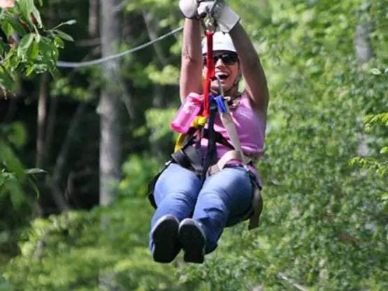 Blue Ridge Two-Hour Zipline Tour