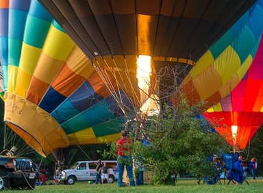 Blueberry Festival — photo 1