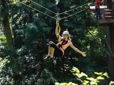 Camano Island Zipline Canopy Tour — photo 1