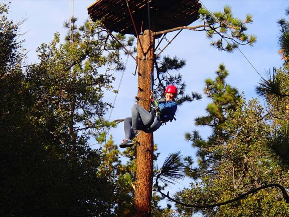 Canopy Tour