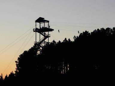 Charlotte Zipline and Dine — photo 3