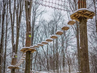 Cleveland Forest Escape — photo 1