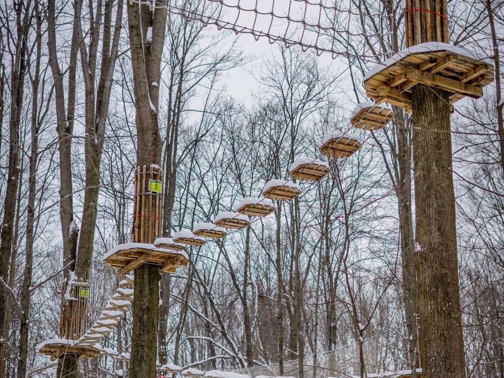 Cleveland Forest Escape