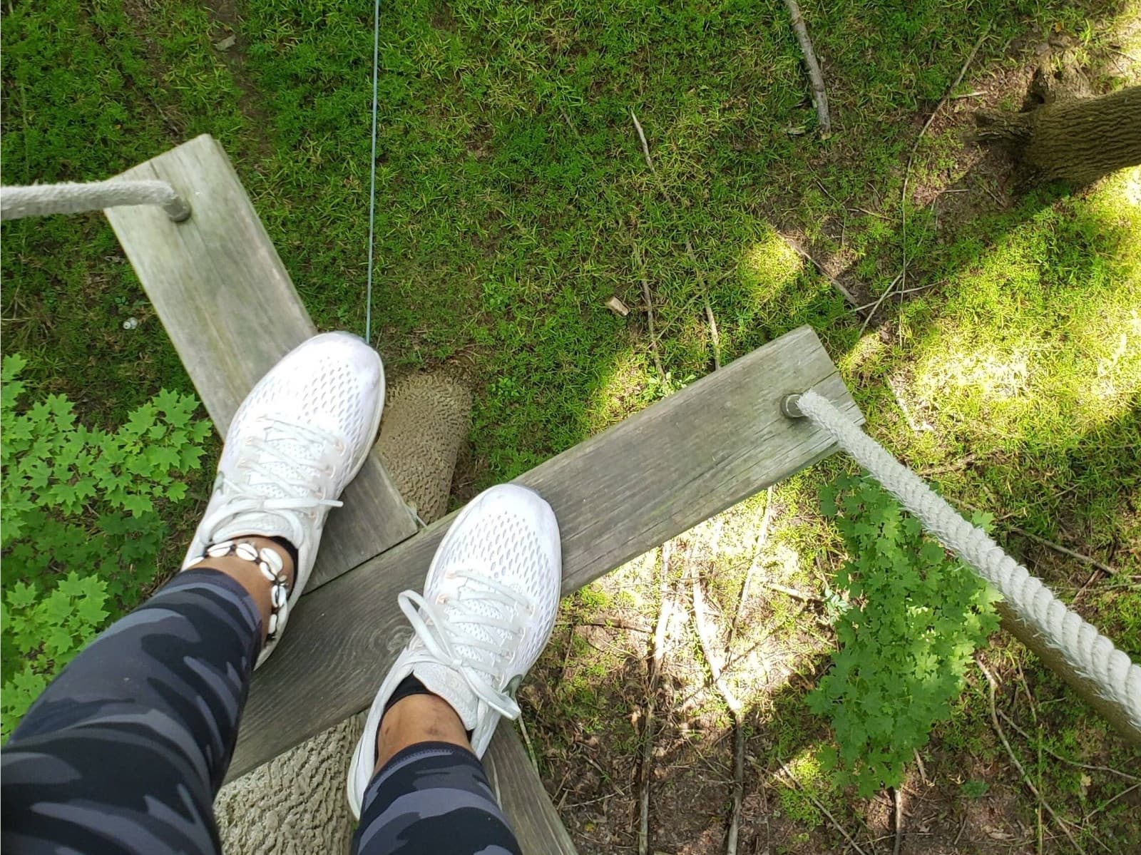 Cleveland Treetop Discovery