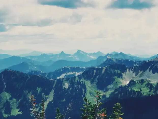 Columbia Falls 7-Zipline Canopy Tour