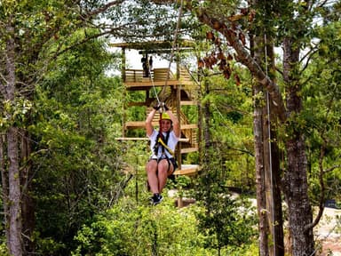 Cypress Canopy Zip Line Tour — photo 2