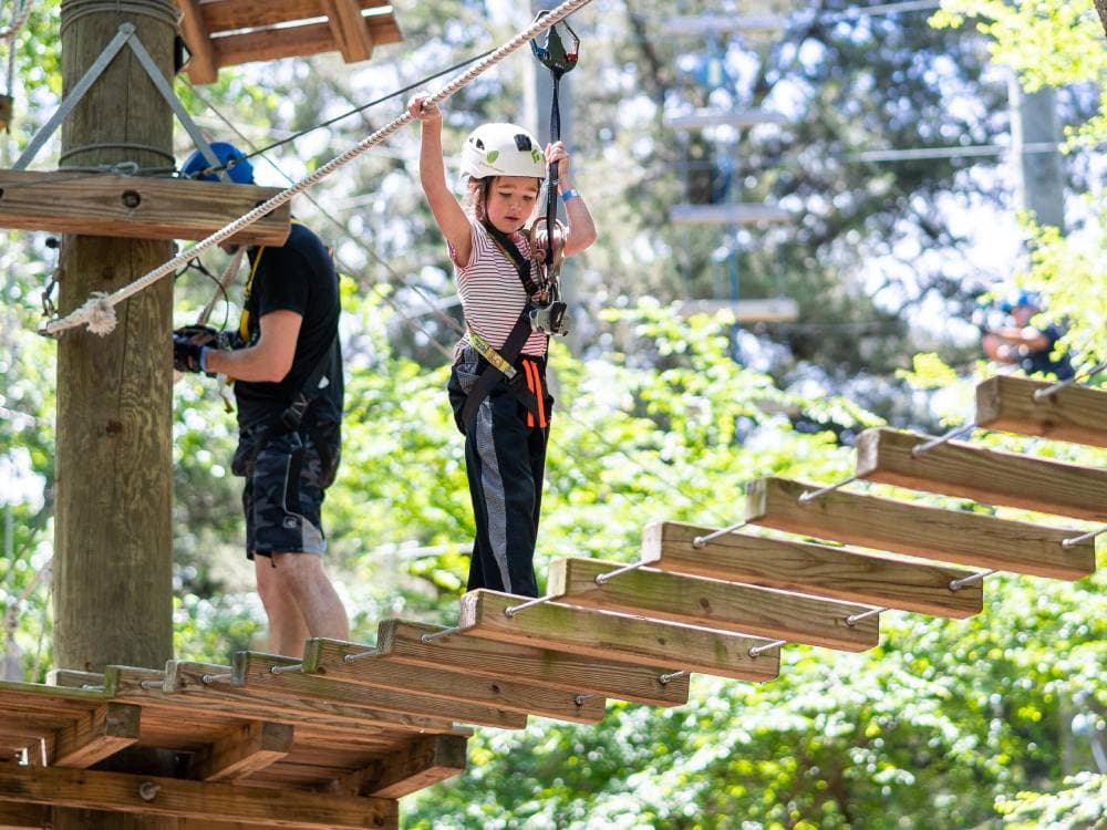 Dallas Aerial Adventure Park