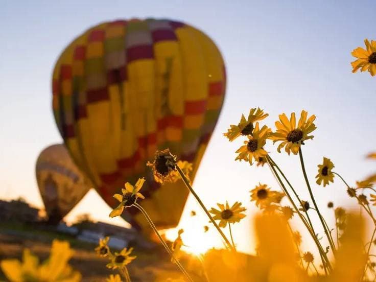 Del Mar Private Hot Air Balloon Rides
