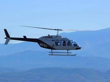 Douglas Lake Helicopter Ride — photo 3