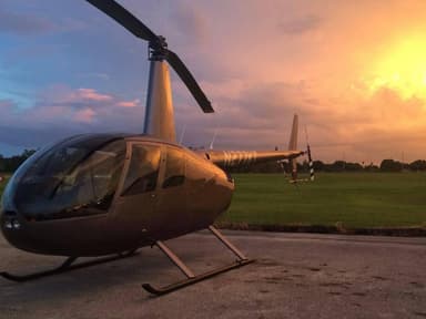 Downtown Detroit Helicopter Tour — photo 1