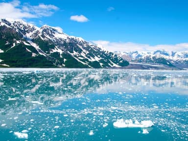 Ellison Air - Extensive Glacier & Wildlife Tour — photo 1