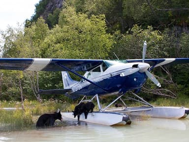 Ellison Air - Local Seaplane Tour — photo 1