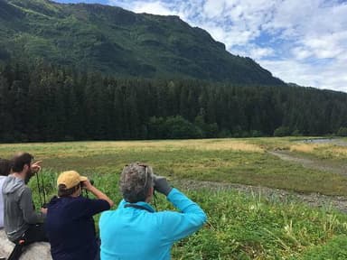 Exclusive Pack Creek Bear Viewing from Juneau — photo 4