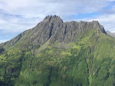 Exclusive Pack Creek Bear Viewing from Juneau — photo 3