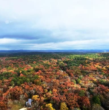 Fall Foliage Tour — photo 1
