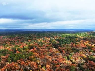 Fall Foliage Tour — photo 1