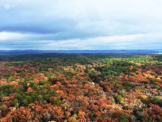 Fall Foliage Tour