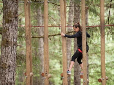 Gaston Aerial Adventure Course — photo 1