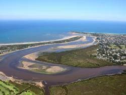 Geelong Bellarine