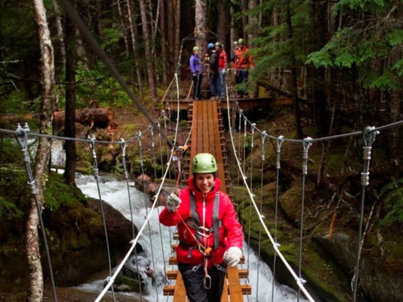 Grizzly Falls Ziplining Expedition