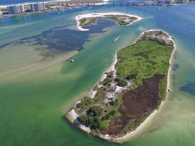 Gulf Coast Experience Tour by Lost Bay Helicopters