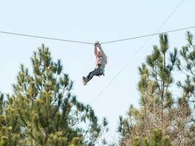 Gulfport Treetop Adventure Course — photo 1