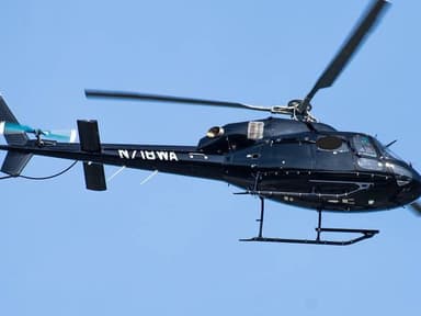 Hamptons Beach Picnic with Helicopter Transfer — photo 2