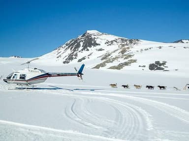 Helicopter and Glacier Dogsled Tour — photo 4