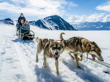 Helicopter and Glacier Dogsled Tour — photo 3