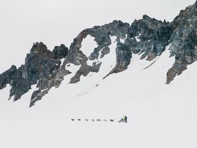 Helicopter Glacier Dogsledding - Seward — photo 4