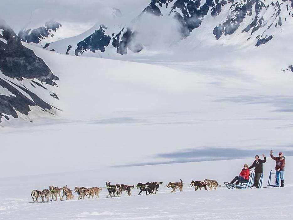 Helicopter Glacier Dogsledding - Seward