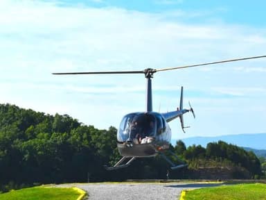 Helicopter Ride Biltmore Estate, Asheville — photo 4