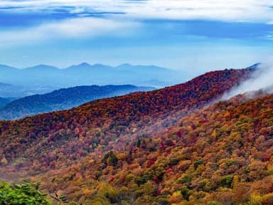 Helicopter Ride Smoky Mountains, National Park Tour — photo 3