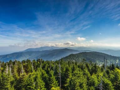 Helicopter Ride Smoky Mountains, National Park Tour — photo 2