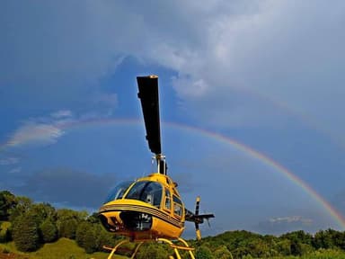 Helicopter Tour Over Douglas Lake — photo 1