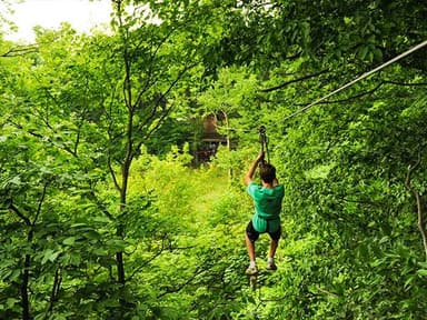 Indianapolis Treetop Adventure — photo 1