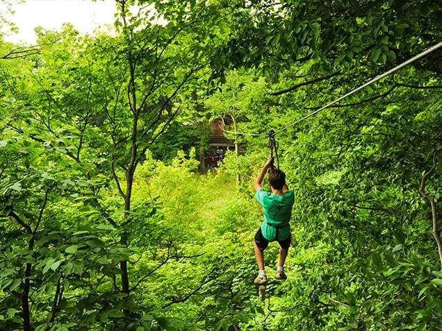 Indianapolis Treetop Adventure