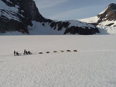 Juneau Helicopter Tour and Dogsledding Experience — photo 3
