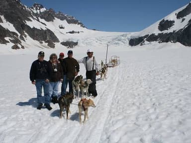 Juneau Helicopter Tour and Dogsledding Experience — photo 4