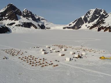 Juneau Helicopter Tour and Dogsledding Experience — photo 2