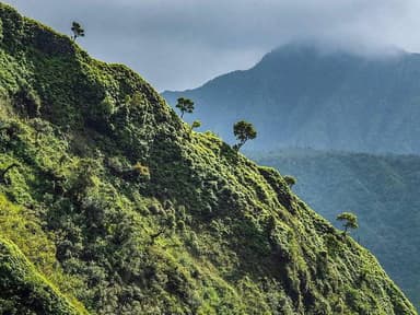 Kauai ECO Adventure Helicopter Tour — photo 3